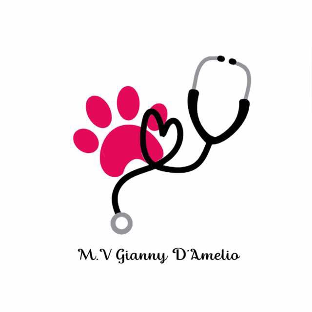 Gianny Veterinaria